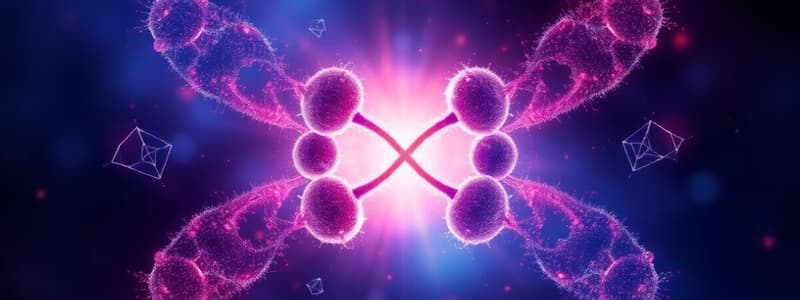 Chromosomes and Cell Division