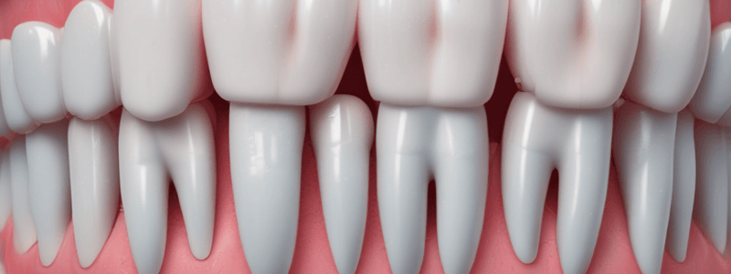 Periodontal Chart and Prophylaxis Quiz