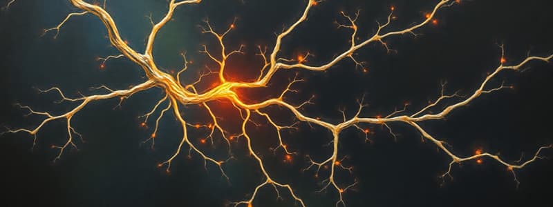 Neurons: Structure, Function, and Signaling