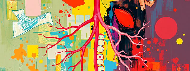 Human Respiratory System Mechanisms