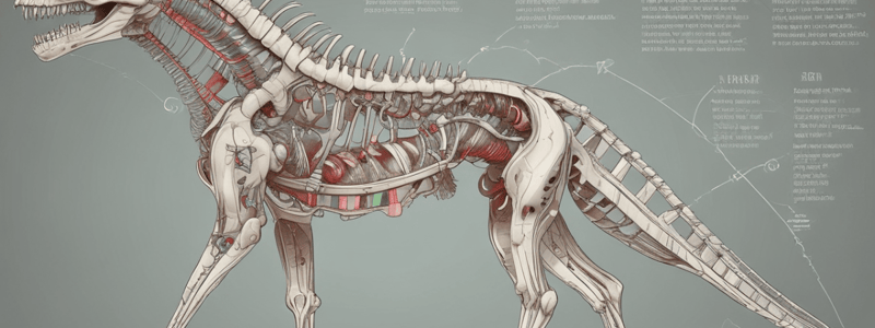 Axial Structures