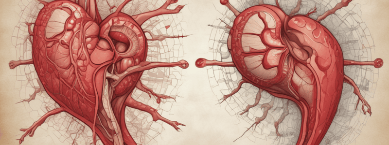 Atherosclerotic Plaque Morphology