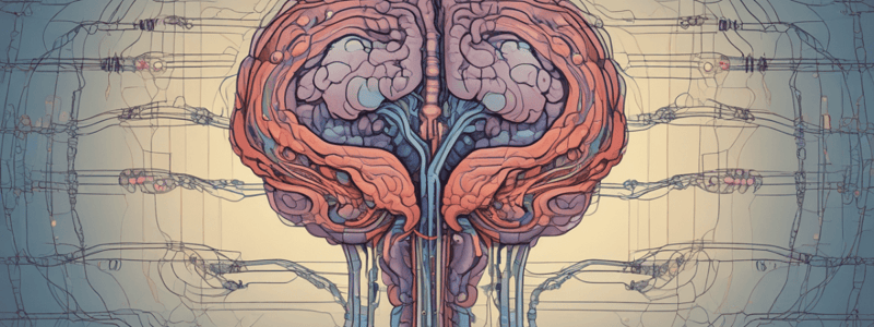 Neurotransmitters and Empathy Circuit Abnormalities Quiz