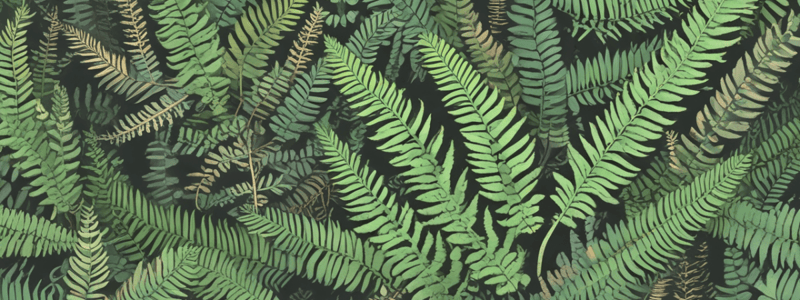 Fern Reproduction and Life Cycle