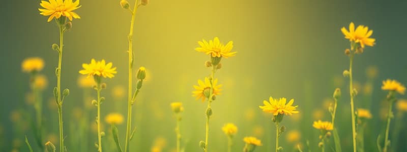 Plant crops: Camelina, flaxseed, lupins, sunflowers