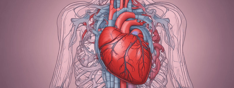 Heart Function and Cardiac Output