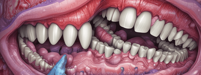 Dentinogenesis: Odontoblast Differentiation