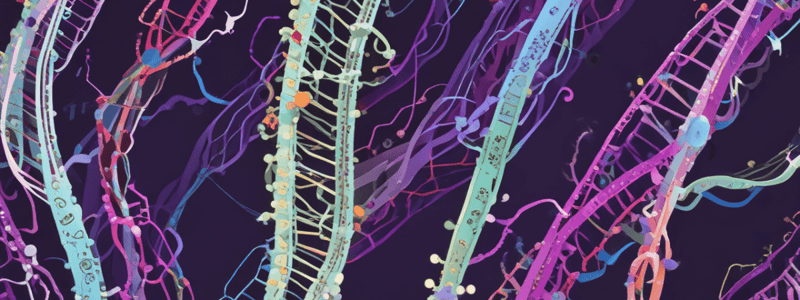 Kwantitatieve PCR vs Traditionele PCR