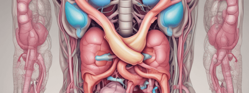 Upper GI Pathologies and Physiology