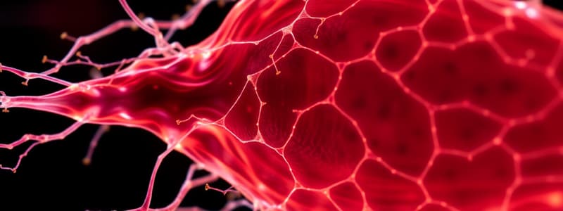 Cytoskeleton Overview Quiz