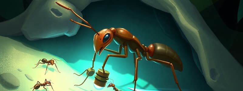 Ant Surgeries and Survival