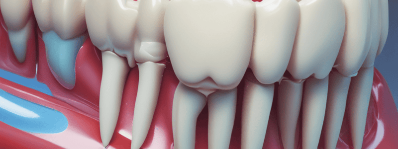 Enamel Structure and Function in Dentistry