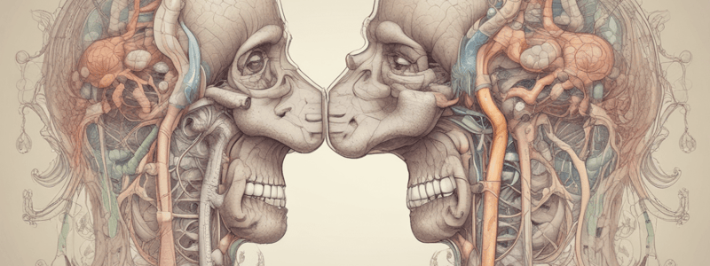 Human Respiratory System