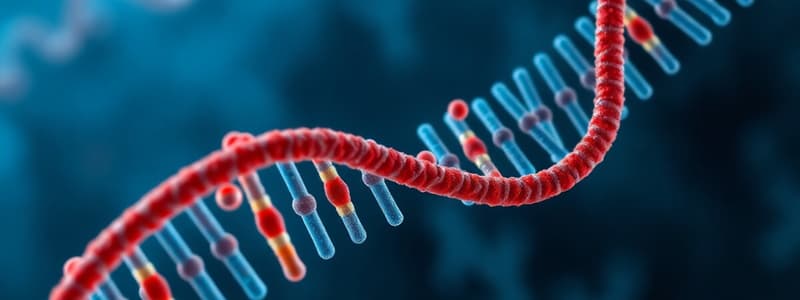 Biology: Mutations and Protein Synthesis