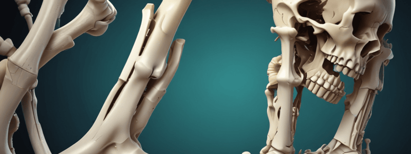 Bone Repair and Healing