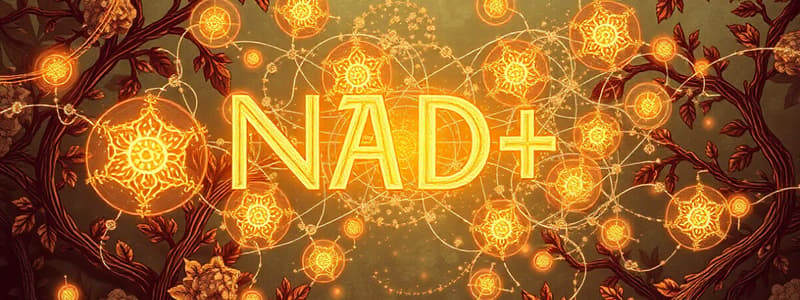 Biochemistry: NAD+ Electron Acceptance