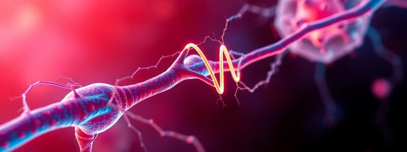 Nerve Impulse Transmission and Hormone Action