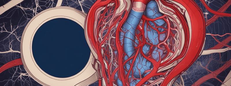 SBI 241 Week 6: Atherosclerosis and Hypertension