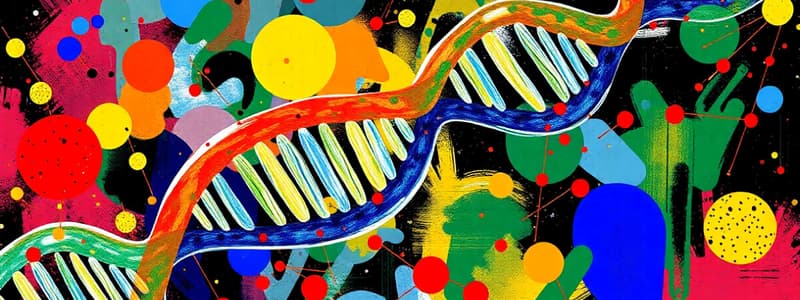 mRNA Processing Overview