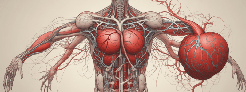 Cardiovascular System: Physical Characteristics of Blood