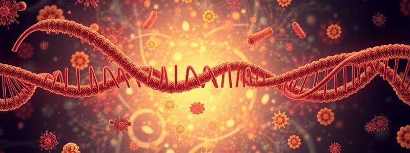 mRNA Modification and Structure