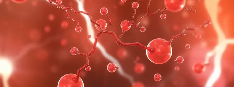 Lipid Metabolism Overview