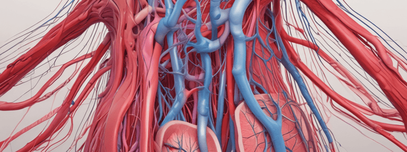 L23 Microcirculation and lymphatic system