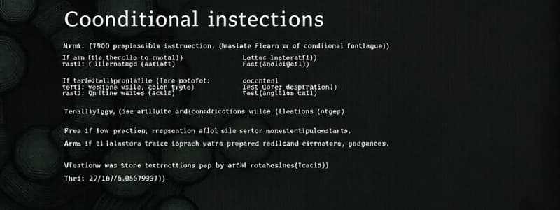 Conditional Instructions in Programming