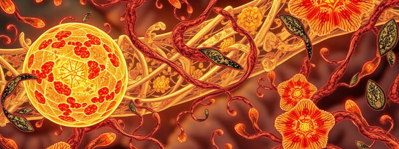 Biology on Arachidonic Acid Functions