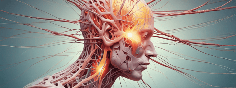 Neuropathic Pain Causes and Symptoms