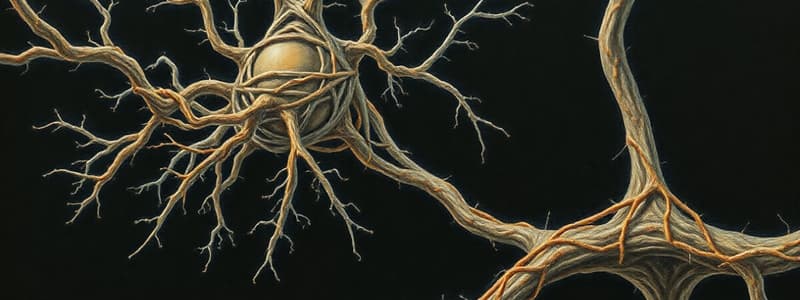 Fundamentals  of the Nervous System