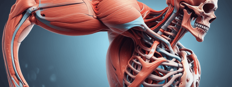 Drugs acting on Skeletal Muscle Systems Quiz