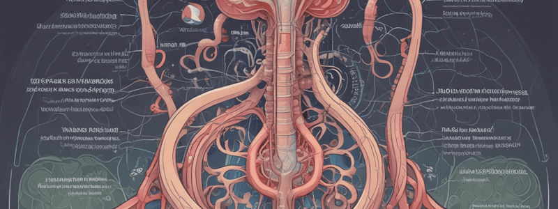 Kidney Anatomy and Function Quiz