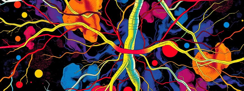 Types of Nerve Fibers Quiz