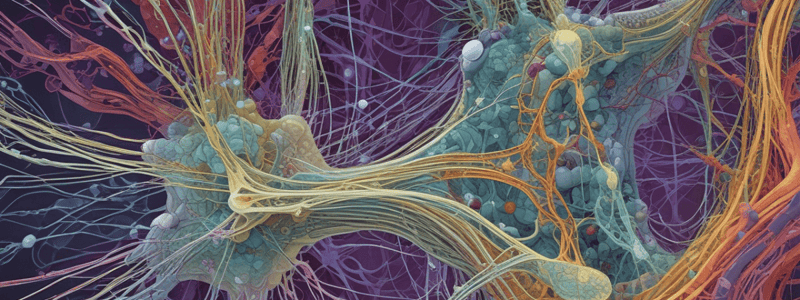 Cytoskeleton II: Microfilaments