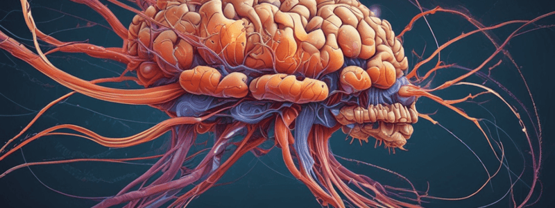 Neuronas y Neuroglía en el Sistema Nervioso