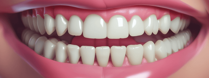 Stades de la Clinique d'Orthodontie