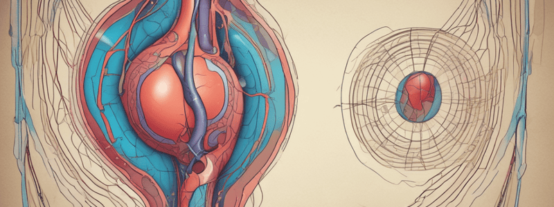 Biology Module 11: The Urinary System