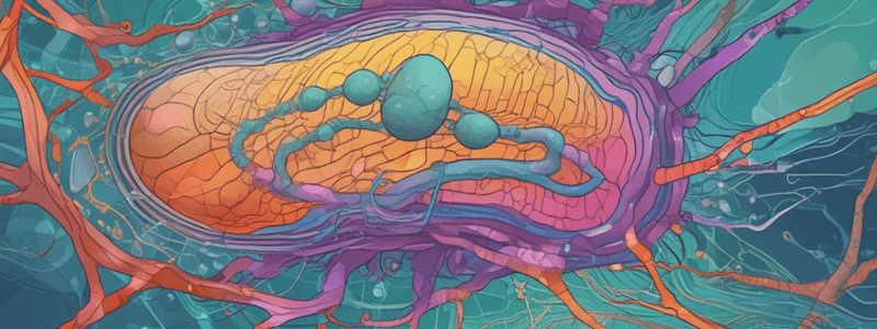 Cell Membrane and Diffusion