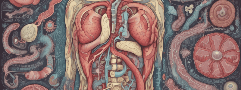 Digestive System Functions