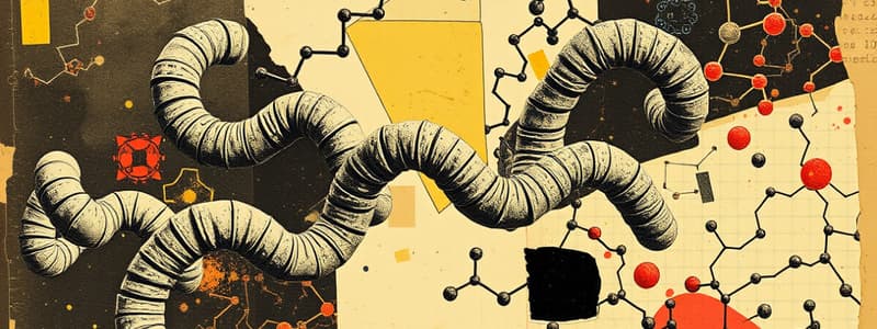 Biology Proteins and Amino Acids