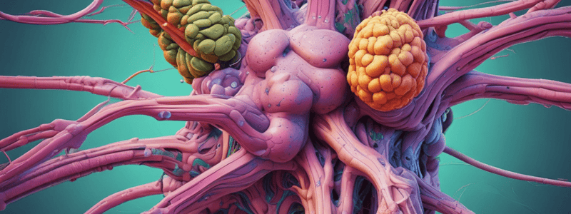 21.2 Overview Of Lymphoid Structures