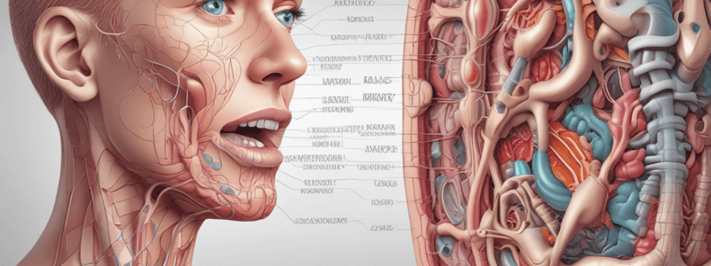 Digestive Tract: Oral Cavity