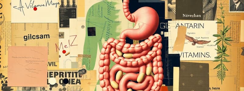 GI System: Anatomy, Physiology, and Nutrition