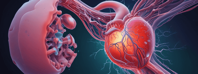 Understanding Rheumatic Fever