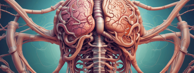 Sistema Digestivo: Função e Órgãos