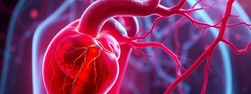 Cardiovascular System Summary