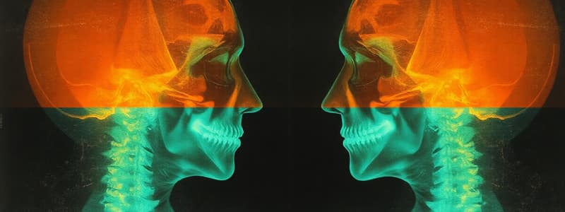 Radiographic Projections and Positions