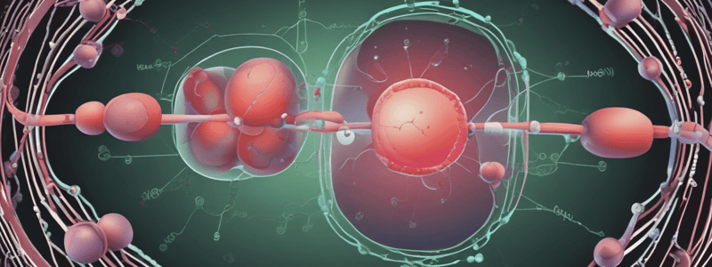 Lipid and Apolipoprotein Exchange in Lipoprotein Particles