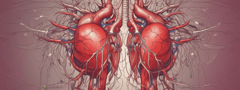 Cardiovascular System Symptoms